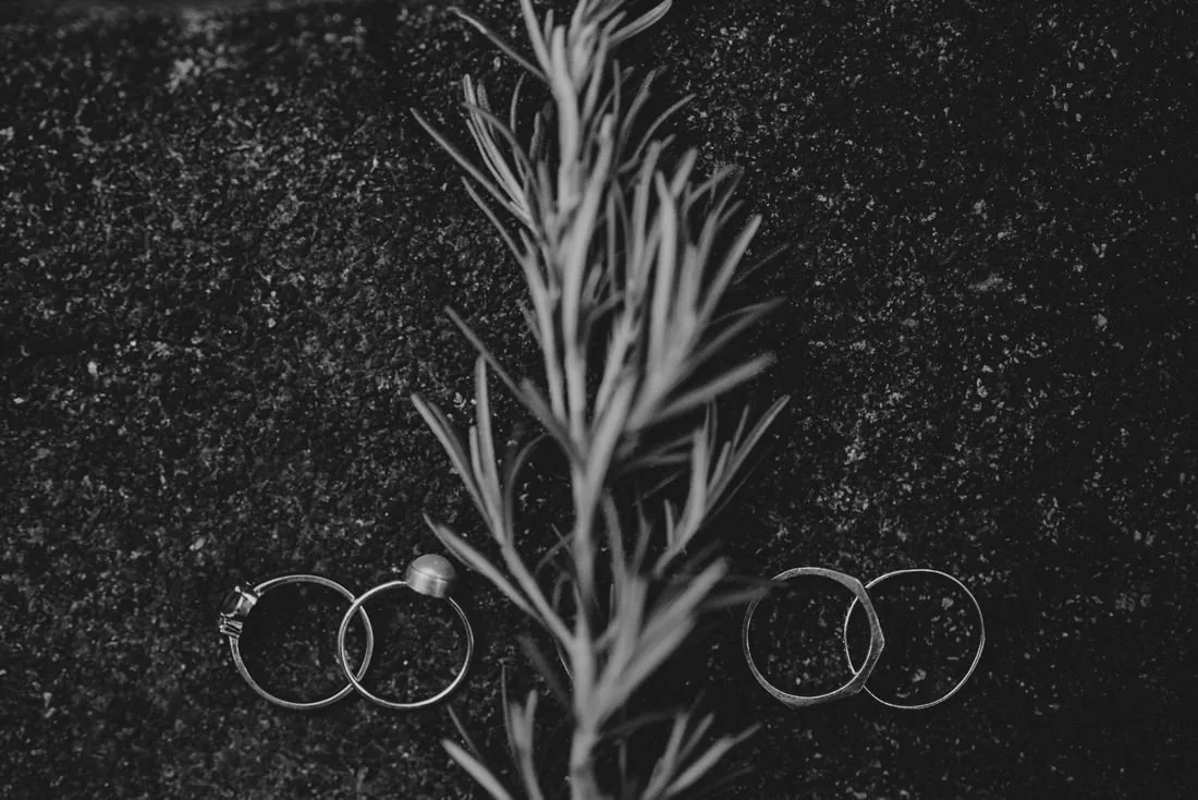 vanessa + vitor 68