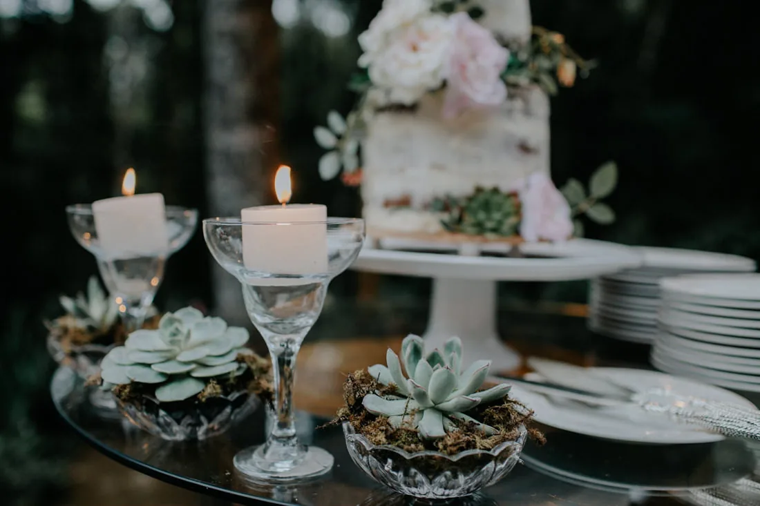vanessa + vitor 81
